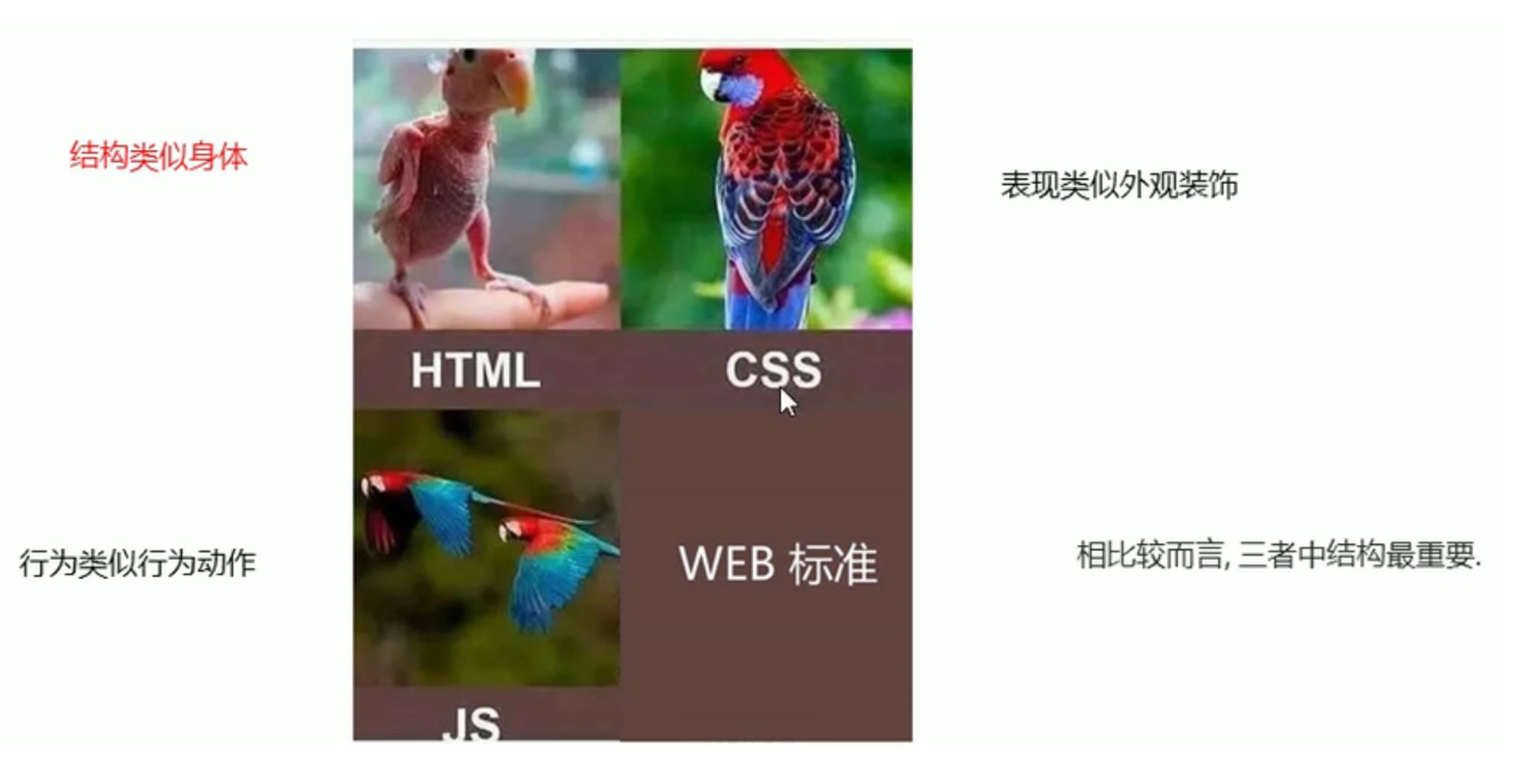 Web标准